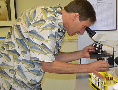 Dr. George Dempsey examined cells under a microscope last month in his East Hampton office. He has indicated a need for more participants in an international study on tick-related diseases. Dr. George Dempsey examined cells under a microscope last month in his East Hampton office. He has indicated a need for more participants in an international study on tick-related diseases.
