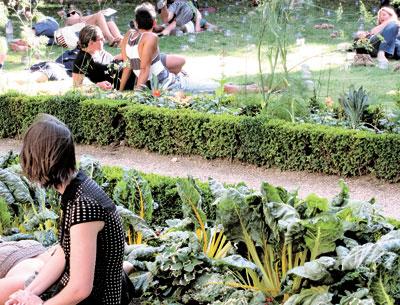 Yellow chard seems to be in every garden, even a vest-pocket park in the Marais. Yellow chard seems to be in every garden, even a vest-pocket park in the Marais.