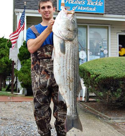 Robert Van Velsor caught this 42.46-pound striped bass “by accident,” from Ditch Plain beach in Montauk on Friday. The big striper took a bucktail in knee-deep water. Robert Van Velsor caught this 42.46-pound striped bass “by accident,” from Ditch Plain beach in Montauk on Friday. The big striper took a bucktail in knee-deep water.