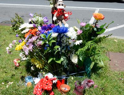 Flowers, candles, and stuffed animals have been placed at the roadside near the spot where Anna was hit and classmates and friends have been visiting it over the past few days. Flowers, candles, and stuffed animals have been placed at the roadside near the spot where Anna was hit and classmates and friends have been visiting it over the past few days.