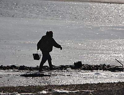 The East Hampton Town Trustees’ 2013 water-quality test results will be presented on March 19 at 6 p.m. at Town Hall. The East Hampton Town Trustees’ 2013 water-quality test results will be presented on March 19 at 6 p.m. at Town Hall.