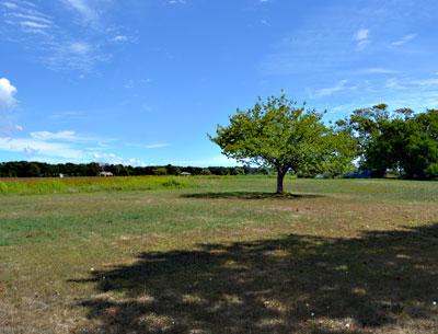 Maintaining this view from Wainscott Hollow Road toward Sayre’s Path has been a key concern of the East Hampton Town Planning Board as it reviews a subdivision application for 40 acres of former farmland there. Maintaining this view from Wainscott Hollow Road toward Sayre’s Path has been a key concern of the East Hampton Town Planning Board as it reviews a subdivision application for 40 acres of former farmland there.