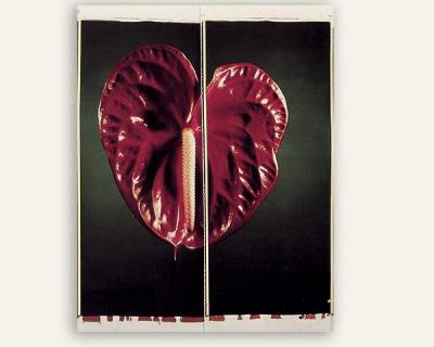 An exhibition of Chuck Close photographs will feature a few of his departures from the figure, as in “Anthurium‚” from 1987. An exhibition of Chuck Close photographs will feature a few of his departures from the figure, as in “Anthurium‚” from 1987.