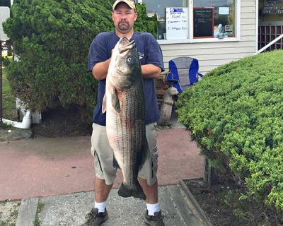 In the Montauk SurfMasters Spring Shootout tournament that ends on July 4, Gary Krist remains in first place with a 42.08-pound striper. In the Montauk SurfMasters Spring Shootout tournament that ends on July 4, Gary Krist remains in first place with a 42.08-pound striper.