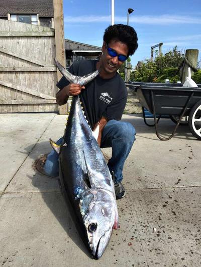 This bluefin tuna was angled by Matt Heckman, above, with Oliver Saul at the helm approximately eight miles from Montauk while trolling the C.I.A. grounds last week. This bluefin tuna was angled by Matt Heckman, above, with Oliver Saul at the helm approximately eight miles from Montauk while trolling the C.I.A. grounds last week.