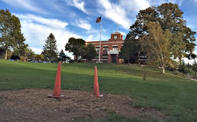 Seven trees have been removed from the hill at Pierson Middle and High Schools after being deemed hazardous. Two school officials said there is a plan to replace them. Seven trees have been removed from the hill at Pierson Middle and High Schools after being deemed hazardous. Two school officials said there is a plan to replace them.