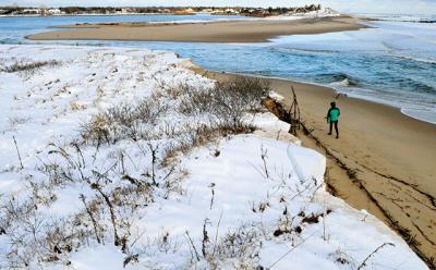 Georgica Pond is the focus of a new effort to reverse the effects of pollution. Georgica Pond is the focus of a new effort to reverse the effects of pollution.
