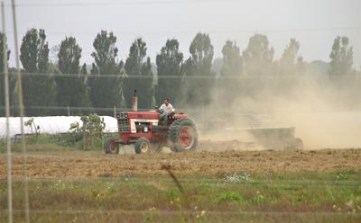 Long before harvesting begins, local community supported agricultural programs use prepaid memberships to pay for seeds and other planting expenses at places like Balsam Farms.
