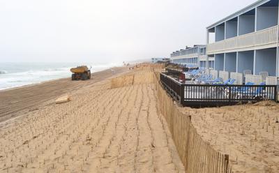 Beach grass planted in straight rows atop a buried sandbag wall on Montauk’s downtown beach will be fenced off and pedestrian access to the shore allowed only over wooden walkways at four different oceanfront spots. Beach grass planted in straight rows atop a buried sandbag wall on Montauk’s downtown beach will be fenced off and pedestrian access to the shore allowed only over wooden walkways at four different oceanfront spots.