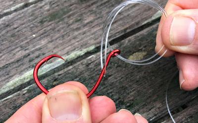 A Palomar knot is tied before being cinched tight to a hook eye.
