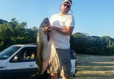 John Ciullo caught this hefty 47-pound striped bass off Montauk Point. John Ciullo caught this hefty 47-pound striped bass off Montauk Point.