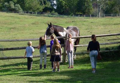 While the kids loved the horses in the neighbor’s field, adults nibbled on farm fresh crudités and other treats from Lombardi’s Love Lane Market in Mattituck during the Slow Food panel and screening in Amagansett on Saturday afternoon.