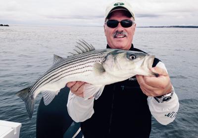 Weather put a damper on fishing last week, but Dr. Arthur Boshnack still managed to snag a decent-size striper from Gardiner’s Bay. Weather put a damper on fishing last week, but Dr. Arthur Boshnack still managed to snag a decent-size striper from Gardiner’s Bay.