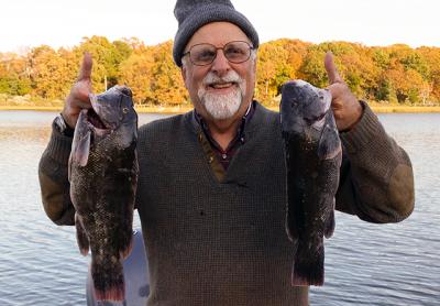 William Feigelman caught these blackfish around Valiant Rock last Thursday. William Feigelman caught these blackfish around Valiant Rock last Thursday.