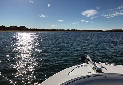 Several small boats congregated in a cove west of Orient Point, where striped bass were pressing their prey against the beach. Several small boats congregated in a cove west of Orient Point, where striped bass were pressing their prey against the beach.