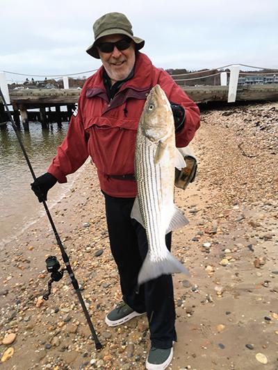 Saturday was a good day for Fred Abatemarco, who showed off one of the many stripers he caught on Fort Pond Bay. Saturday was a good day for Fred Abatemarco, who showed off one of the many stripers he caught on Fort Pond Bay.