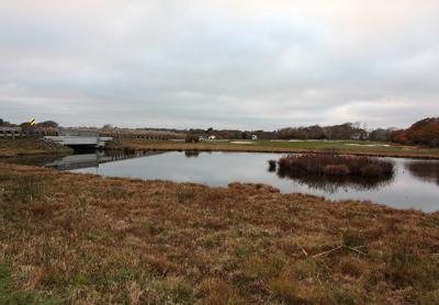 The small north part of Hook Pond, separated from the south by Dunemere Lane, is bordered by the best and most diverse freshwater wetlands of any that surround the pond. The small north part of Hook Pond, separated from the south by Dunemere Lane, is bordered by the best and most diverse freshwater wetlands of any that surround the pond.