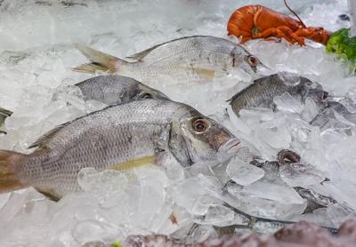 Porgies are easy to catch, plentiful, and inexpensive, to boot. Stores like Citarella and the Seafood Shop in Wainscott, above, sell the fish for around $6 a pound.
