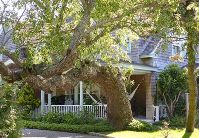 Grey Gardens, which is on the market for just under $18 million, is being rented this summer by American Express, whose plans for the property have already run up against East Hampton Village regulations. Grey Gardens, which is on the market for just under $18 million, is being rented this summer by American Express, whose plans for the property have already run up against East Hampton Village regulations.