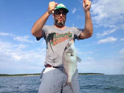 It’s a keeper! Eric Firestone hoisted this insanely large porgy from Gardiner’s Bay yesterday morning. It’s a keeper! Eric Firestone hoisted this insanely large porgy from Gardiner’s Bay yesterday morning.