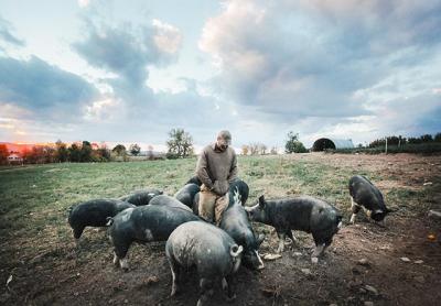 “The Last Pig” by Allison Argo is one of the Compassion, Justice, and Animal Rights selections for this year’s Hamptons International Film Festival. “The Last Pig” by Allison Argo is one of the Compassion, Justice, and Animal Rights selections for this year’s Hamptons International Film Festival.