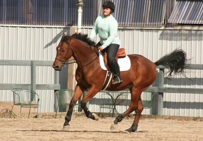 Kailee Brabant and her leased 10-year-old warmblood, Gio, were put through their paces by her trainer, Marisa Bush, in Stony Hill’s Classic-size ring Saturday morning. Kailee Brabant and her leased 10-year-old warmblood, Gio, were put through their paces by her trainer, Marisa Bush, in Stony Hill’s Classic-size ring Saturday morning.