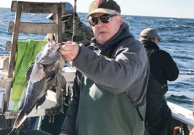 Tim Mott of Sag Harbor held a sea bass taken on Friday aboard the Oh Brother out of Montauk. Tim Mott of Sag Harbor held a sea bass taken on Friday aboard the Oh Brother out of Montauk.