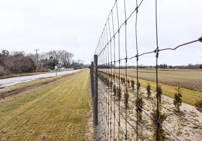 Complaints about deer fences, such as one recently installed on Town Line Road in Wainscott, and changes to the way permit requests for them are handled, dominated discussion at an East Hampton Town Board meeting last Thursday. Complaints about deer fences, such as one recently installed on Town Line Road in Wainscott, and changes to the way permit requests for them are handled, dominated discussion at an East Hampton Town Board meeting last Thursday.