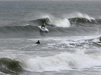 Winter surfing has grown in popularity on eastern Long Island at the same time as seals' numbers have skyrocketed. Seals are a favored prey of great white sharks. Winter surfing has grown in popularity on eastern Long Island at the same time as seals' numbers have skyrocketed. Seals are a favored prey of great white sharks.