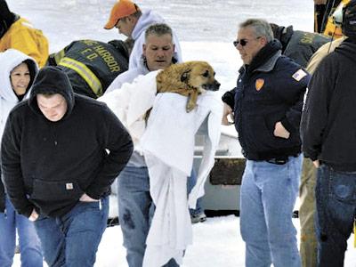 Members of the Sag Harbor Fire Department helped rescue a dog that fell through the ice in Noyac Bay on Saturday. Members of the Sag Harbor Fire Department helped rescue a dog that fell through the ice in Noyac Bay on Saturday.
