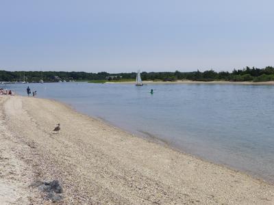 Three Mile Harbor, East Hampton, where a 45-year-old man reportedly collapsed on Sunday afternoon. Three Mile Harbor, East Hampton, where a 45-year-old man reportedly collapsed on Sunday afternoon.