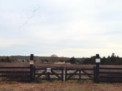 A mixed-use housing development being planned for a site on Montauk Highway in Amagansett has raised concerns about potential traffic and businesses there in addition to the proposed 38 apartments. A mixed-use housing development being planned for a site on Montauk Highway in Amagansett has raised concerns about potential traffic and businesses there in addition to the proposed 38 apartments.