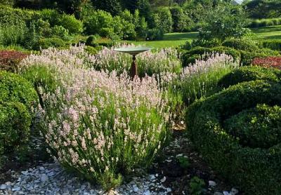 Bridge Gardens, a hidden gem off Mitchell Lane in Bridgehampton, has announced new programs and daily year-round open hours.