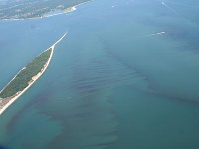 Harmful “brown” tides, created by algae blooms from high levels of nitrogen, have been found in waterways such as Shinnecock Bay and the Long Island South Shore Estuary. Harmful “brown” tides, created by algae blooms from high levels of nitrogen, have been found in waterways such as Shinnecock Bay and the Long Island South Shore Estuary.