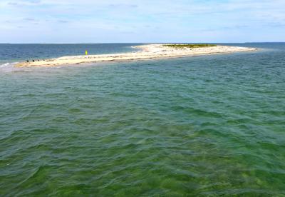 Cartwright Shoal, or Island, depending on who you ask, is at the center of an Amagansett resident's quest for public access. Tradition has held for more than 350 years that the disputed territory is part of the private Gardiner's Island. Cartwright Shoal, or Island, depending on who you ask, is at the center of an Amagansett resident's quest for public access. Tradition has held for more than 350 years that the disputed territory is part of the private Gardiner's Island.