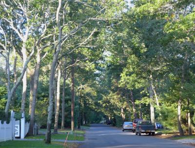Cowhill Lane in Wainscott is part of an area in which tests of home drinking water wells have been recommended to check for traces of a potentially harmful industrial chemical. Cowhill Lane in Wainscott is part of an area in which tests of home drinking water wells have been recommended to check for traces of a potentially harmful industrial chemical.