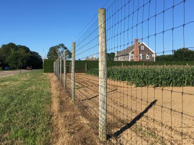 The Sagaponack Village code allows for deer fences on agricultural properties, but some say they can interrupt scenic vistas. The village board is mulling how to reconcile the conflict.