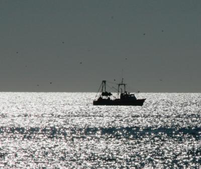 “If it all looks bad, it might be because they don’t have enough information,” Bonnie Brady of the Long Island Commercial Fishing Association said of the National Oceanic and Atmospheric Administration’s trawl surveys, which she believes are incomplete and therefore producing skewed data. “If it all looks bad, it might be because they don’t have enough information,” Bonnie Brady of the Long Island Commercial Fishing Association said of the National Oceanic and Atmospheric Administration’s trawl surveys, which she believes are incomplete and therefore producing skewed data.