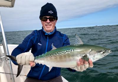 Edward Shugrue of East Hampton landed and released this false albacore at Montauk last week.