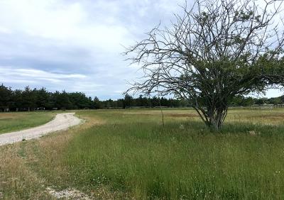A proposal to hold an East Hampton Library benefit on preserved town land in Amagansett has not been warmly welcomed by some of the hamlet's representatives. A proposal to hold an East Hampton Library benefit on preserved town land in Amagansett has not been warmly welcomed by some of the hamlet's representatives.