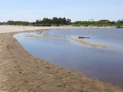 The cyanobacteria bloom that compelled the East Hampton Town Trustees to close Georgica Pond to the harvesting of crabs and other marine life has sufficiently diminished to allow its reopening.