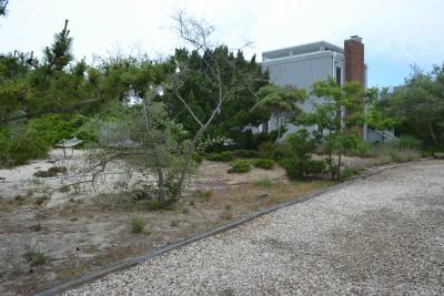 Tara Segara wants to legalize three structures at the back of her Beach Hampton house. Tara Segara wants to legalize three structures at the back of her Beach Hampton house.