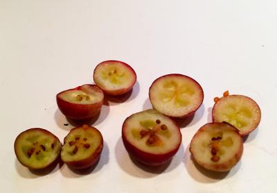 The best way to know if you have found cranberries, as opposed to other inedible berries, in your foraging is to cut them open.
