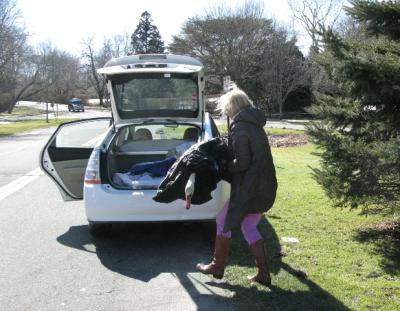 Jane Gill, a transport volunteer with the Evelyn Alexander Wildlife Rescue Center, carried the mute swan injured near Town Pond to her car. Jane Gill, a transport volunteer with the Evelyn Alexander Wildlife Rescue Center, carried the mute swan injured near Town Pond to her car.