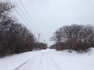 Cranberry Hole Road in Amagansett Tuesday morning