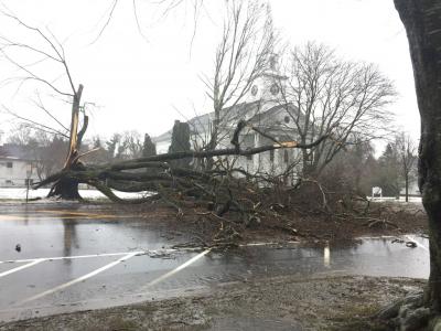 A large tree near the East Hampton Presbyterian Church fell across Main Street as heavy rain and strong winds blew on the East End. A large tree near the East Hampton Presbyterian Church fell across Main Street as heavy rain and strong winds blew on the East End.