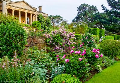 The Caplan Rose Cotswolds tour will visit Kiftsgate Court Gardens, whose centenary is being celebrated with a new book on its rich history and an exhibition at London’s Garden Museum. The Caplan Rose Cotswolds tour will visit Kiftsgate Court Gardens, whose centenary is being celebrated with a new book on its rich history and an exhibition at London’s Garden Museum.
