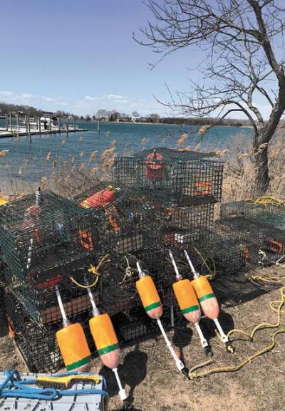Though they had been collecting weeds over the past nine years, after some repair work earlier this month, these lobster pots were ready to be put to use at long last. Though they had been collecting weeds over the past nine years, after some repair work earlier this month, these lobster pots were ready to be put to use at long last.