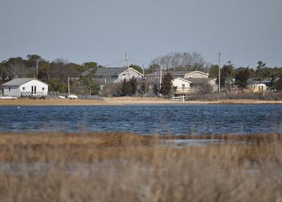 East Hampton Town residents will be able to grow oysters in a portion of Napeague Harbor, in a program run by the town shellfish hatchery. East Hampton Town residents will be able to grow oysters in a portion of Napeague Harbor, in a program run by the town shellfish hatchery.
