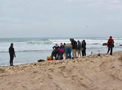 East Hampton Town police, New York State Parks police, and Montauk E.M.T.s responded after the body of a fisherman was found floating in the water north of Montauk Point.